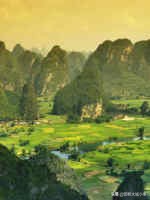 收藏各省老酒,收藏全国各地的牌子