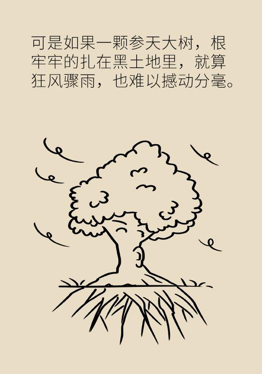 甘草片会引起高血压吗,甘草片能治高血压吗