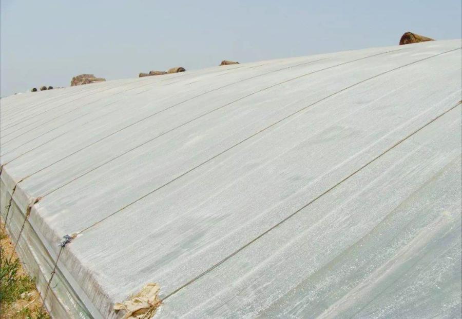 夏天大棚黄瓜防止化瓜方法,瓜类蔬菜怎么处理