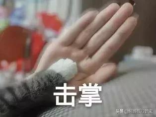 啥时候购物比较优惠,香港买啥会比较便宜划算