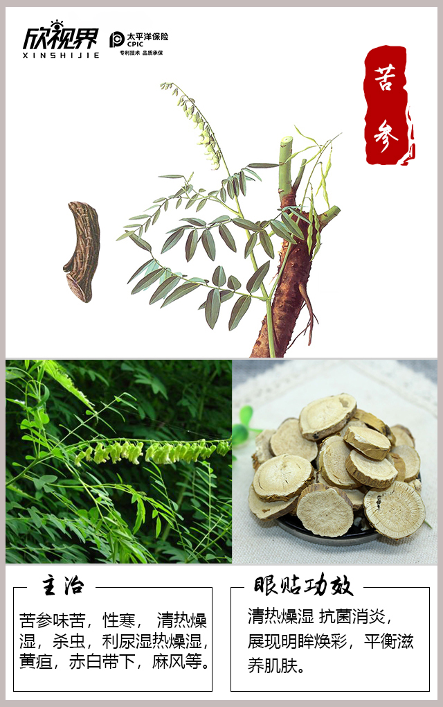 涓崏鑽箣鑻﹀弬,涓崕鏈崏鑻﹀弬