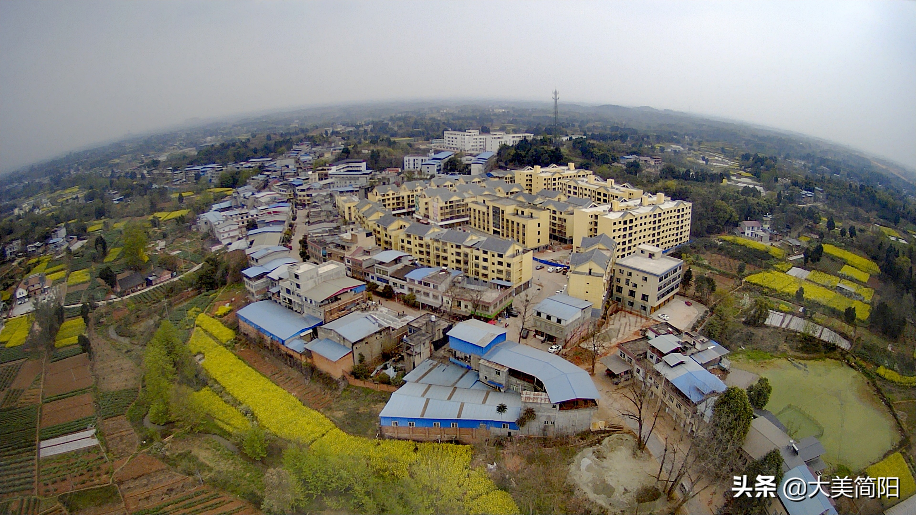 简阳全家福照片,简阳全家福写真