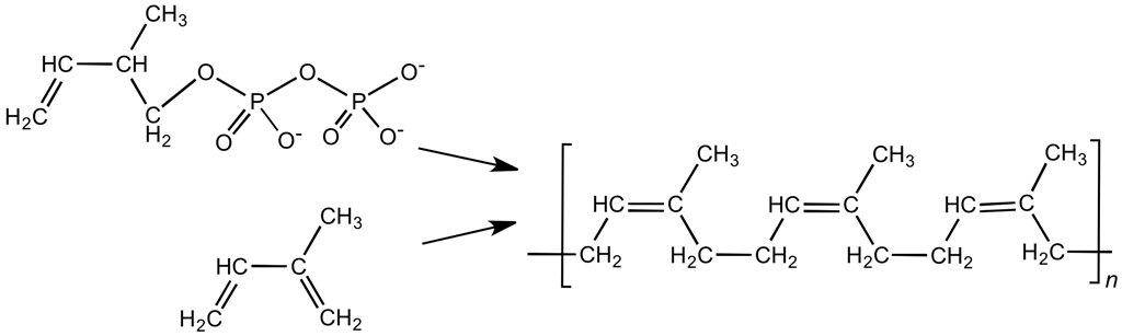 铁球橡胶球,橡胶球坏处