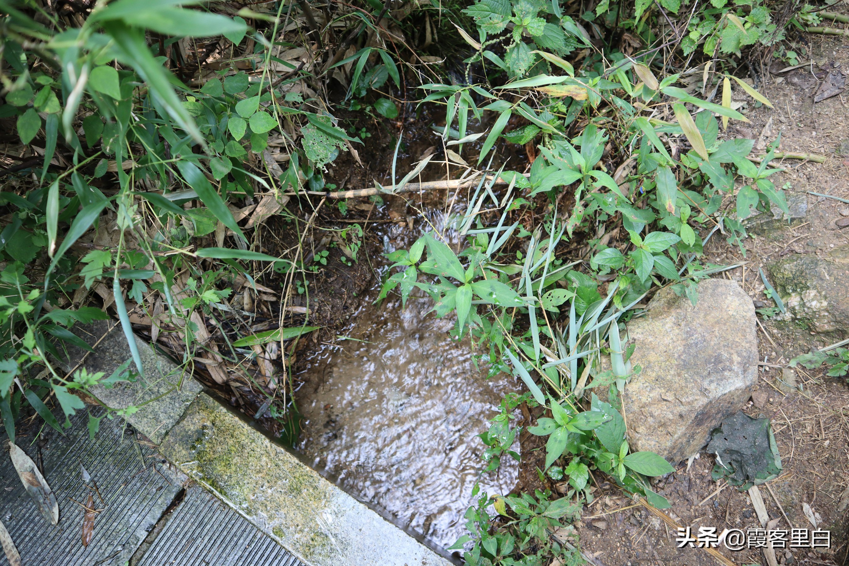 南召宝天曼旅游路线推荐,南召周边山水景区推荐景点