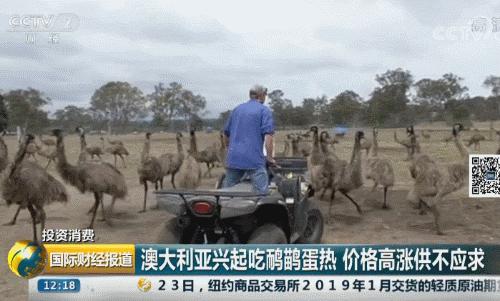 能发家致富的植物,能发家致富的草