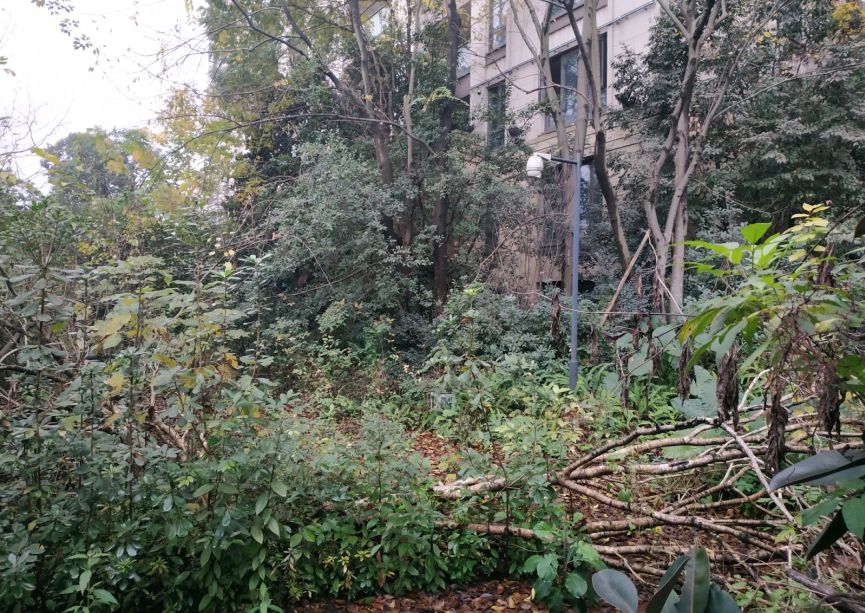 炒房崩盘的视频,火爆楼市背后的炒房团