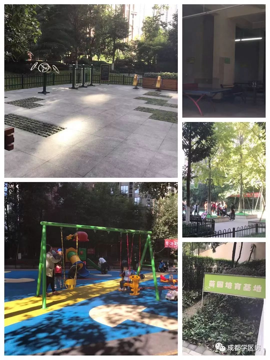 天府新区第五小学待遇,天府新区第五小学对口中学