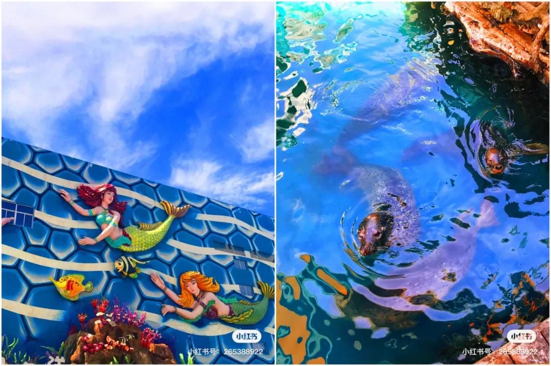 西安室内游乐场排行榜第一,西安最好玩的游乐场推荐