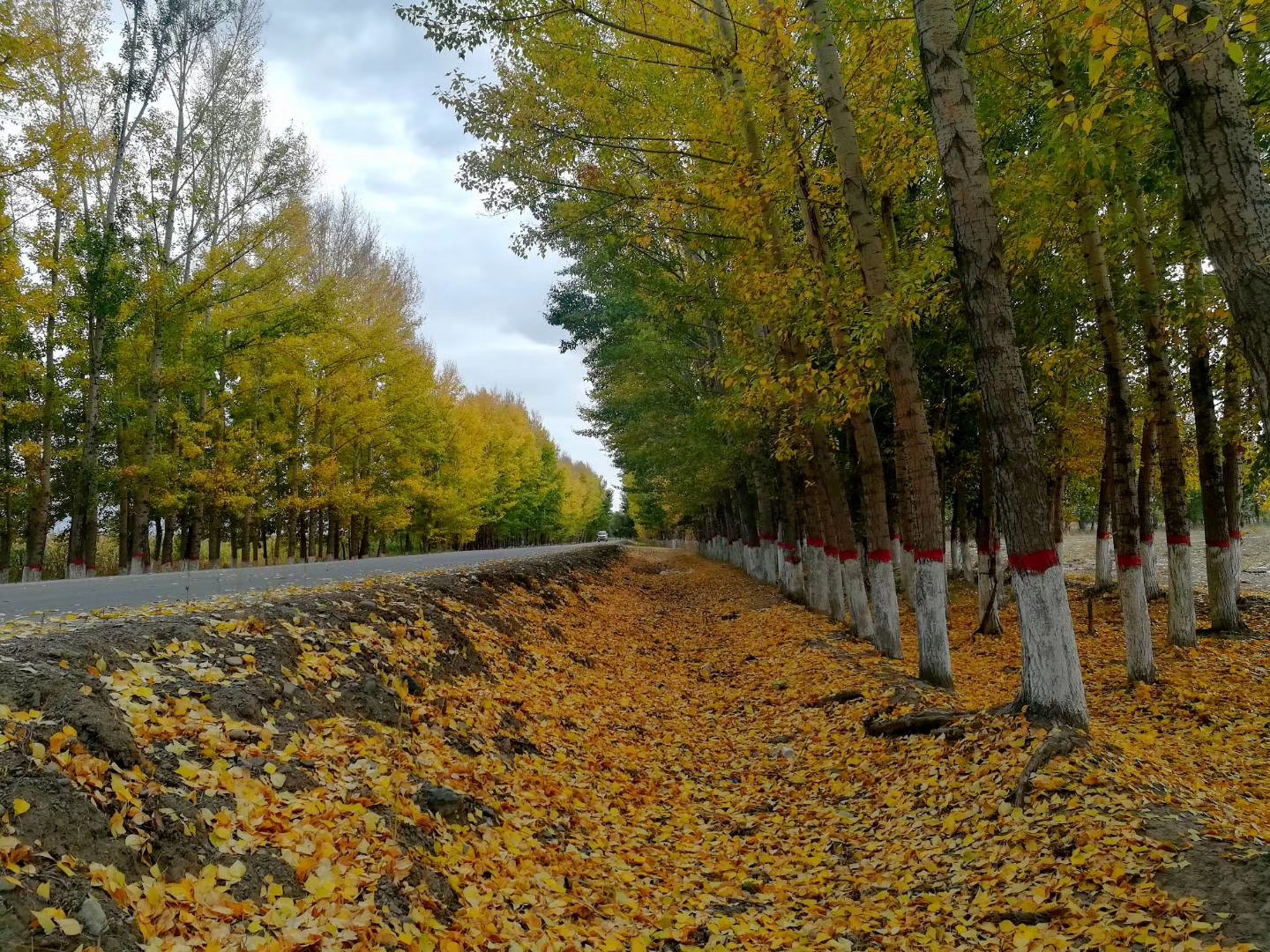 用一个词形容秋天的田野,用三个句子来表达秋天的景色