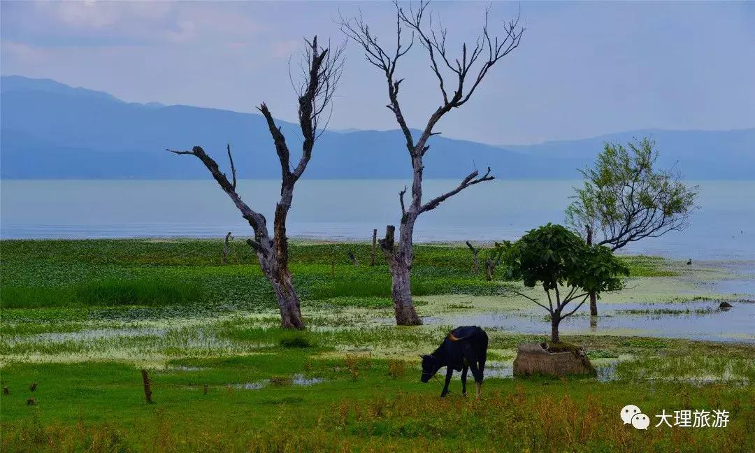 大理洱海两日游攻略,大理洱海一日游最佳攻略图