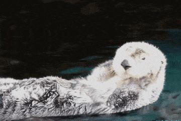 宝宝湿疹的护理小妙用视频,婴儿湿疹大作战之护理的6大要点