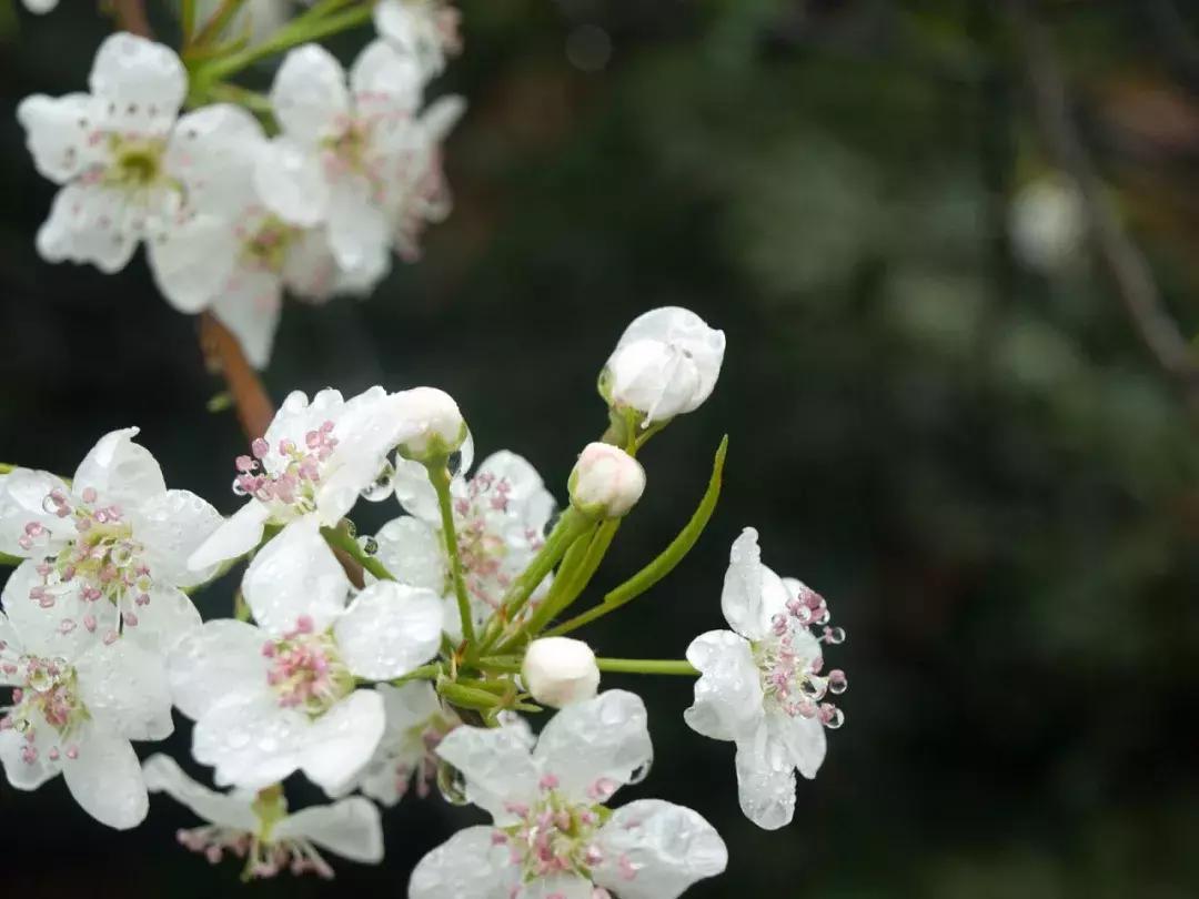 喜报！阳信县企业入选山东省第四批知名农产品企业产品品牌名单！