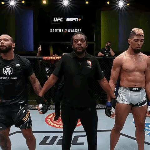 ufc比赛规则和标准,ufc比赛技术分析