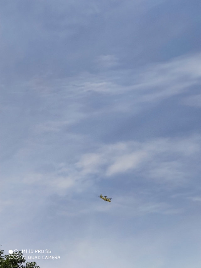 被绿了怎么办复合,被绿了怎么办