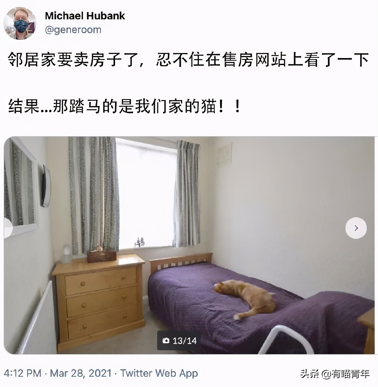 千万别惹俄罗斯猫，真实吓尿了