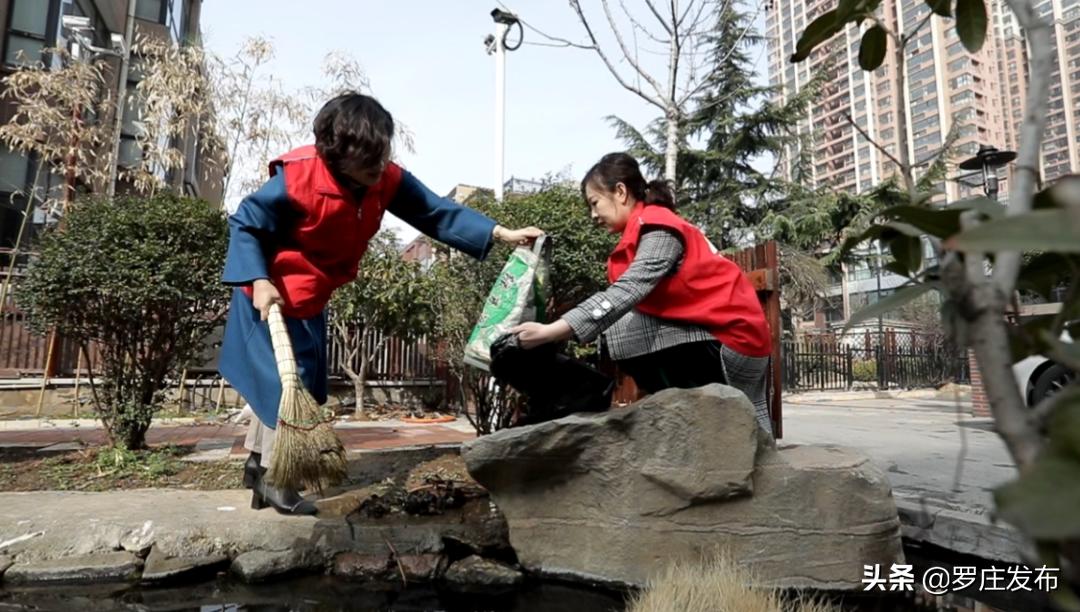 最新罗庄新闻头条,今日罗庄新闻