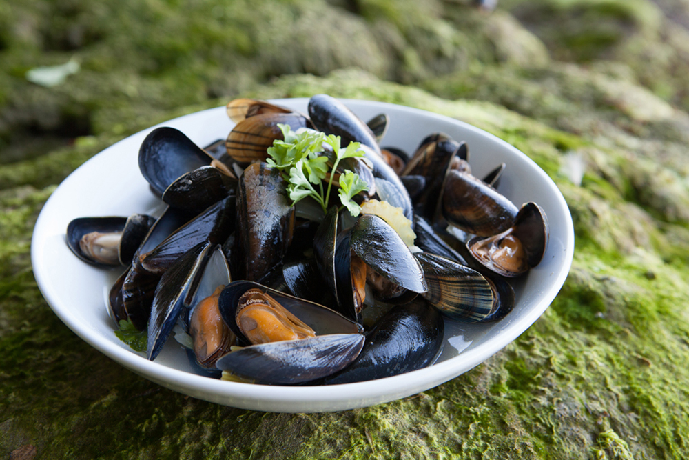 英国威尔士美食,威尔士代表性食物