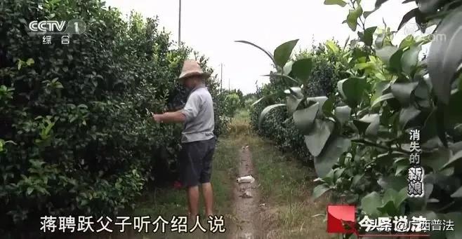 广西多名新娘离奇失踪，背后真相令人愤怒