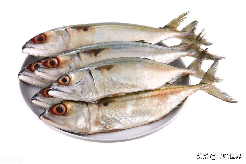 买鱼食内行人专买这十种纯海鱼,内行人就买这5种鱼