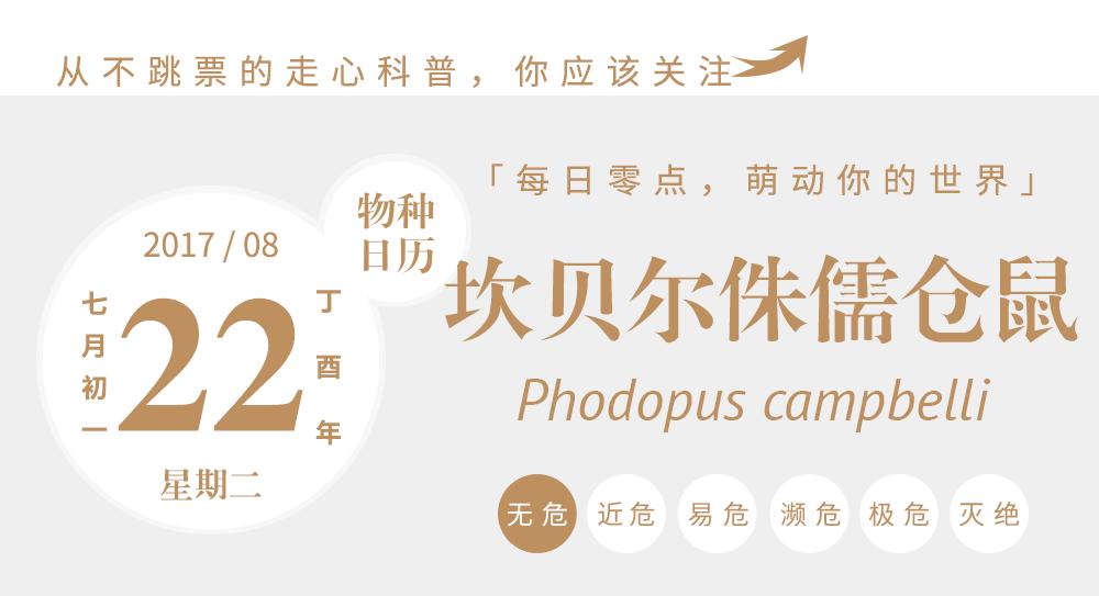 养过仓鼠的才知道的事,养仓鼠要不要给仓鼠洗澡