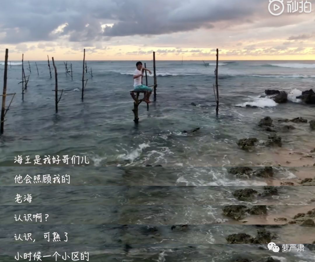 欢迎收看大型翻车现场魔性笑声,喜闻乐见翻车现场全集