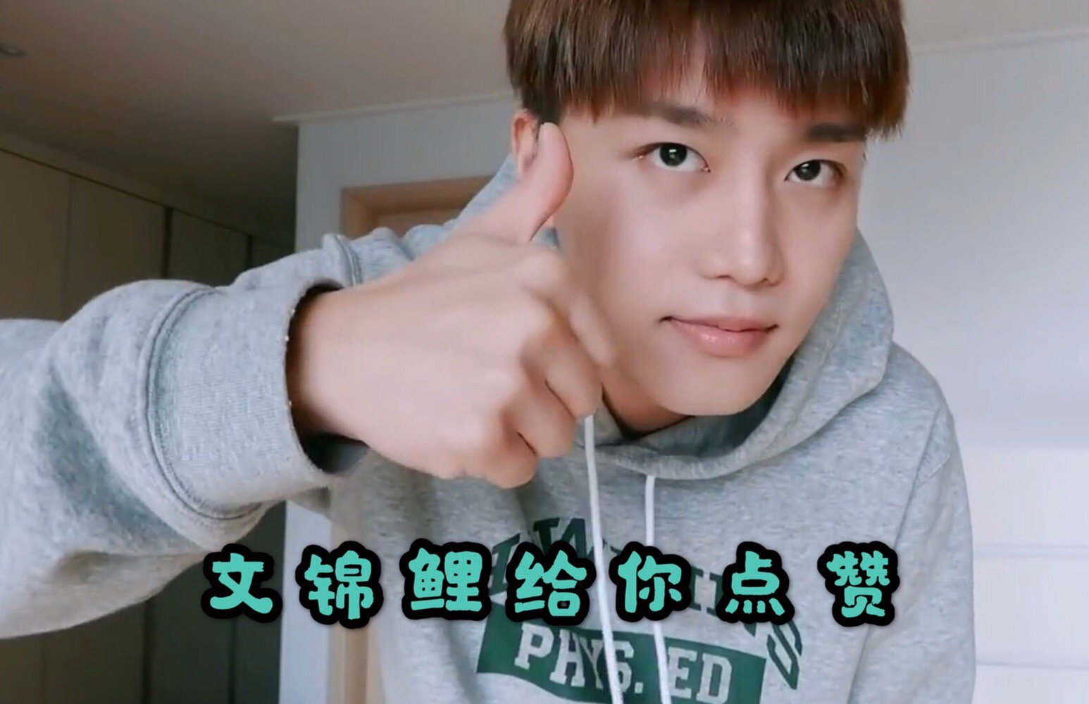 nct成员归位总结,nct各成员定位图