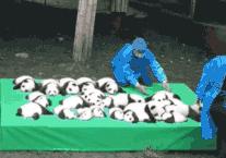 为什么不熬夜眼袋和黑眼圈也很重,长期黑眼圈不熬夜也不恢复怎么办