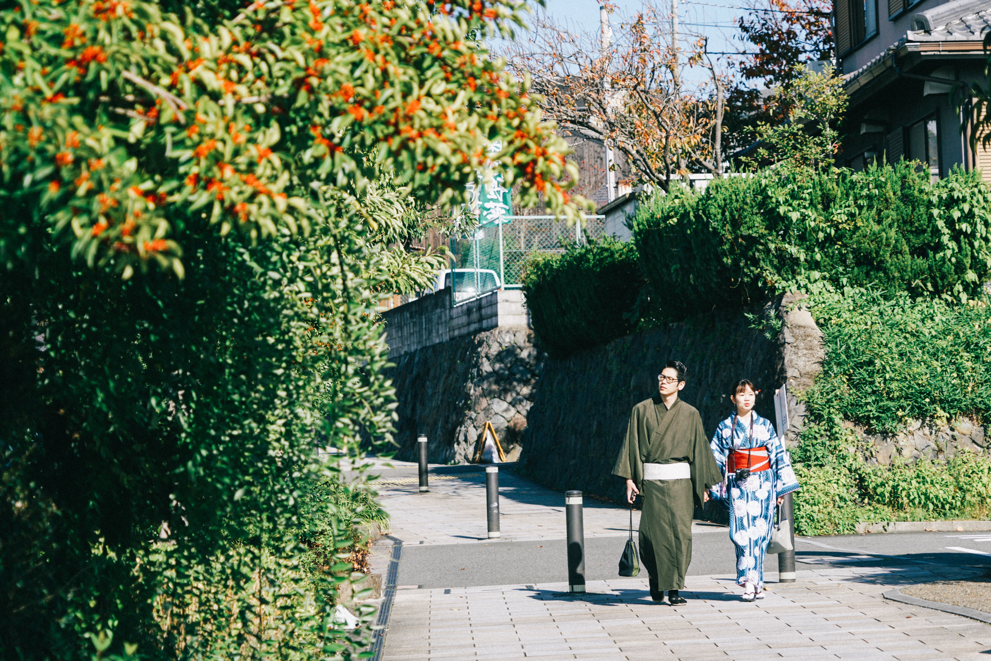 日本京都南禅寺国宝,日本旅游国宝