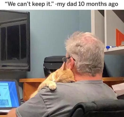 养猫后儿子鼻过敏，妈妈心生一计：不如你搬出去住吧！