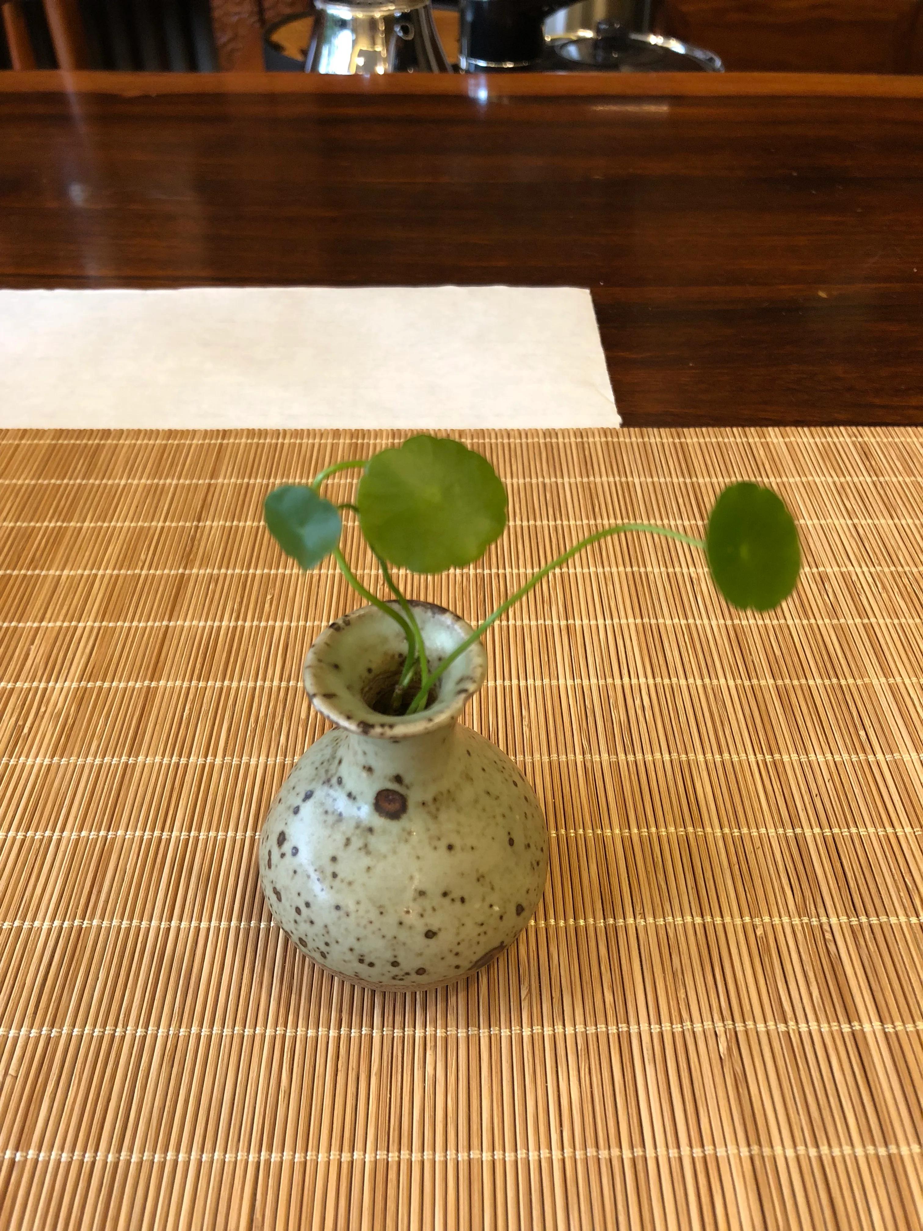 忆杭州龙井,茶砚山舍