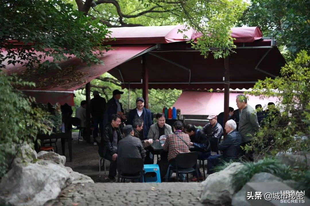 有眼不识衡山,有眼不识吕洞宾