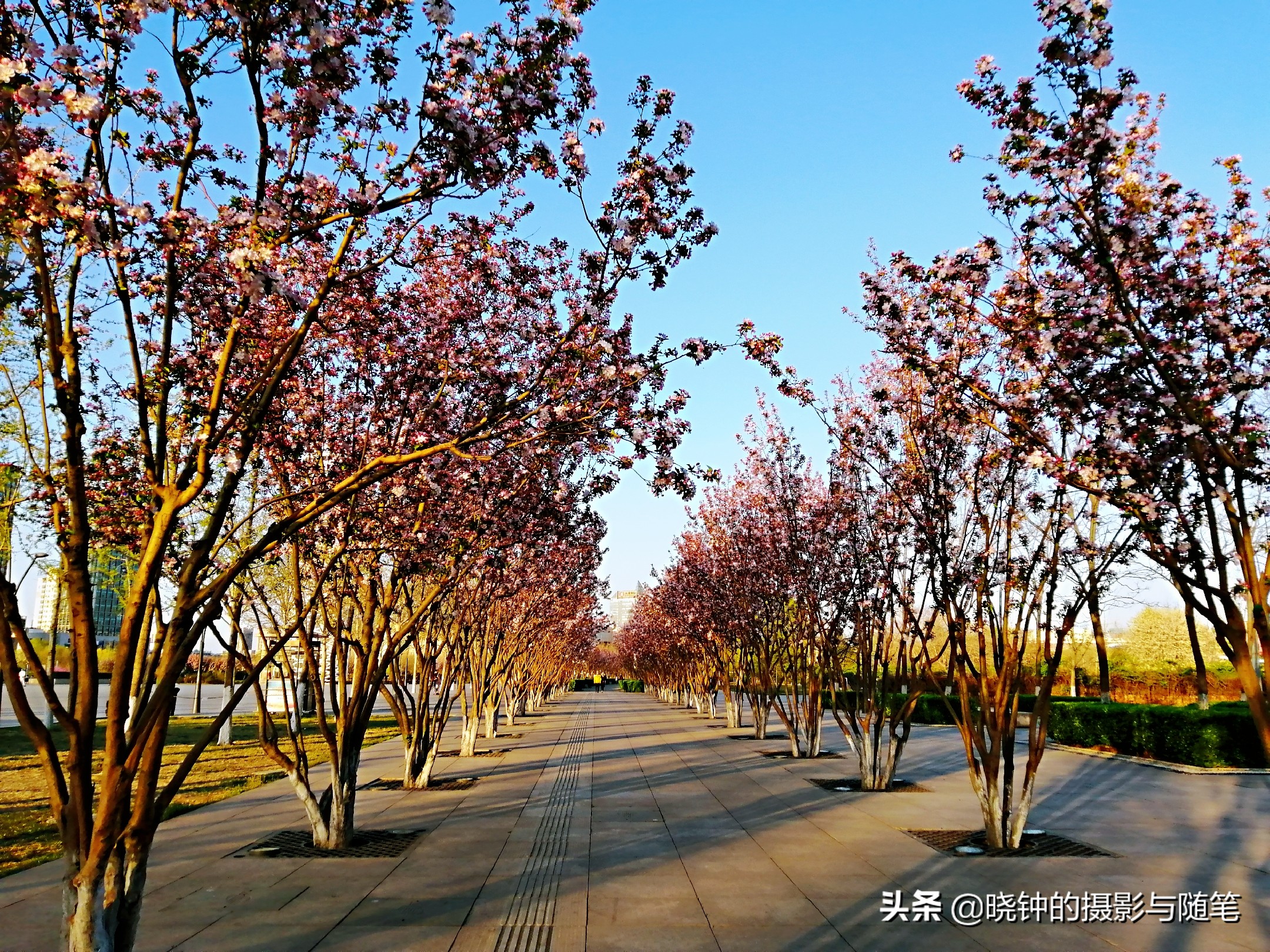天津游玩攻略带孩子旅游最佳路线,天津旅游攻略亲子游