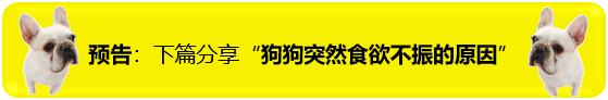 猫咪黑下巴怎么治用什么药,猫咪黑下巴结痂怎么清理