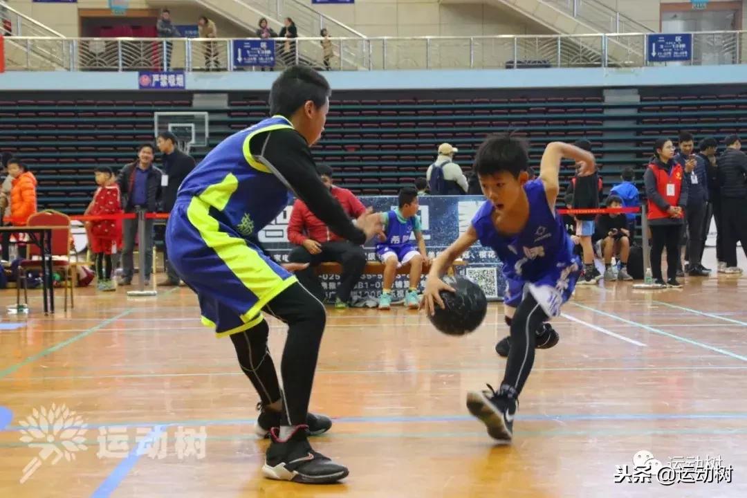 中国篮球名宿走进学校,中国篮球名宿26分