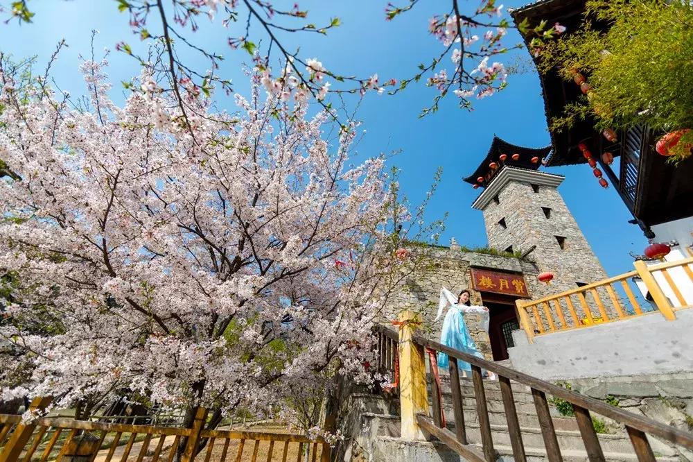 三月赏雨赏花,三月适合去哪儿看花