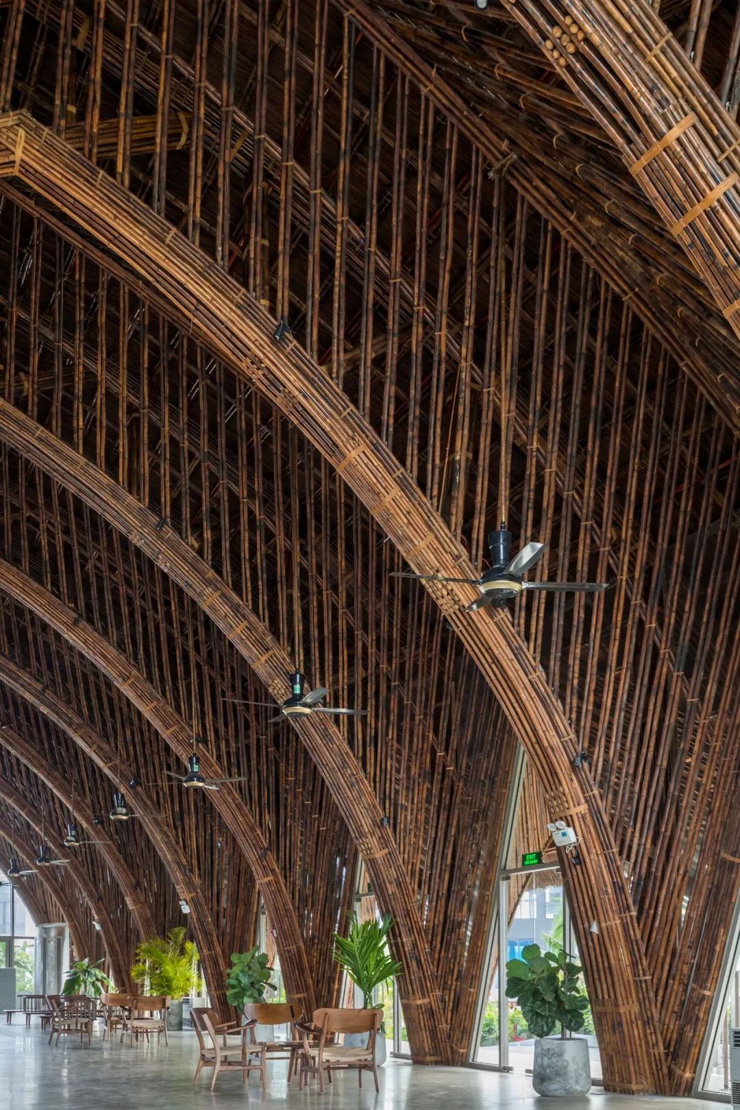 bamboo绔瑰瓙,bamboo绔规湪