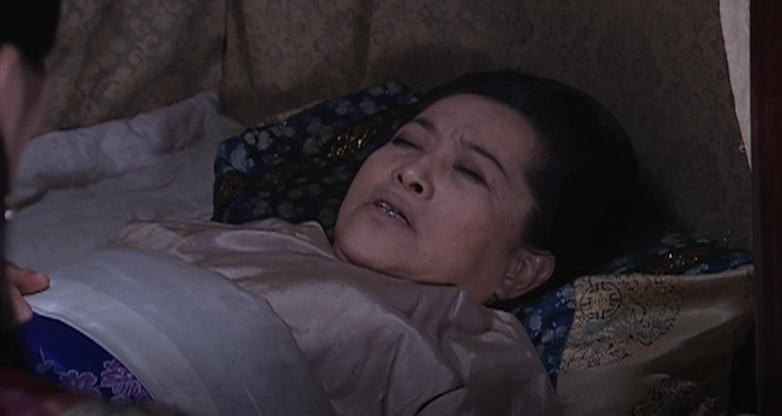 宅门里的丫头勾心斗角电视剧,宅门勾心斗角的电视剧