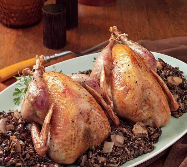 媒体报道英国野鸡成灾成灾的视频,国外野鸡成灾成灾