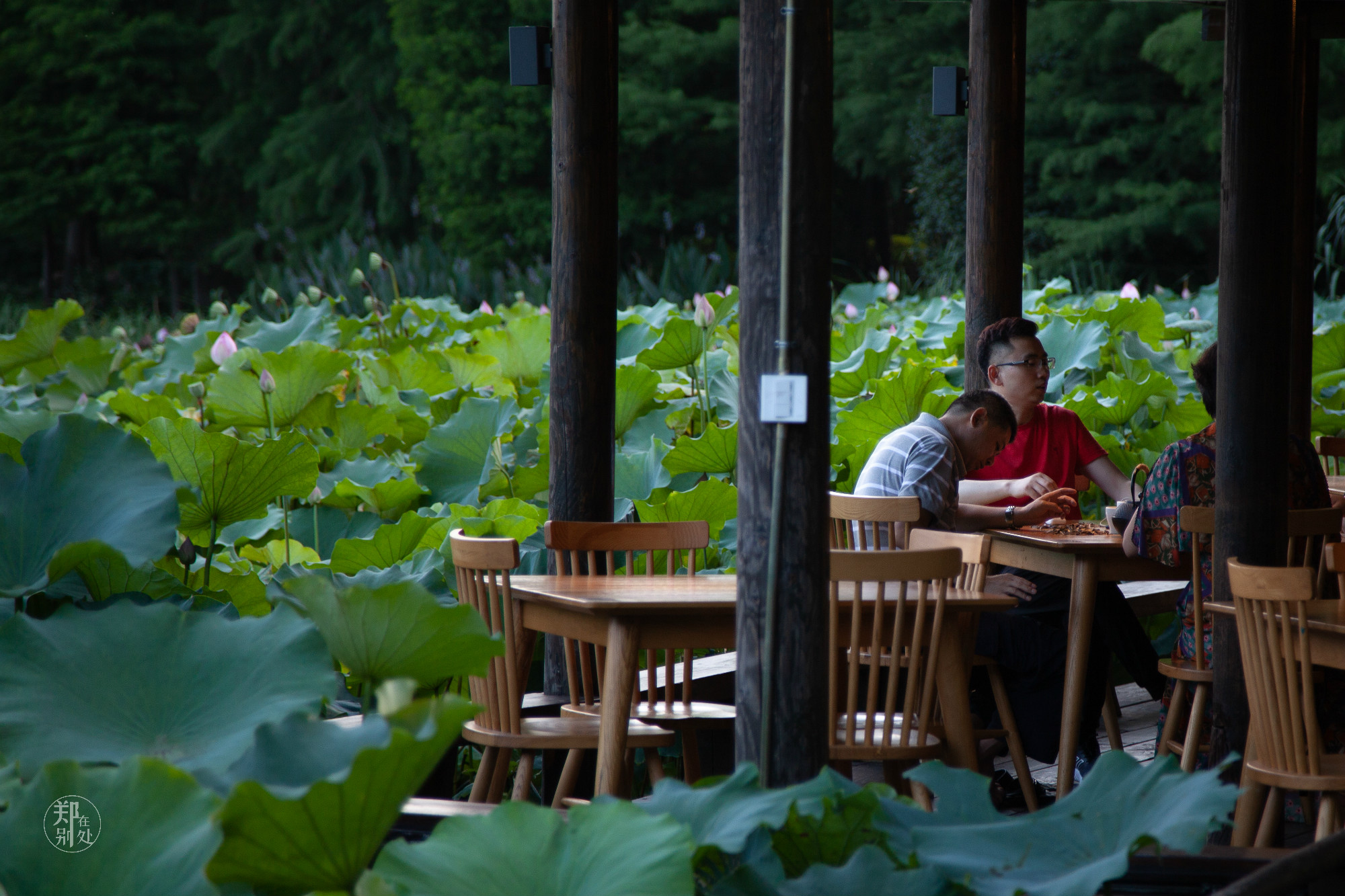 坐公交游杭州几路最好,杭州87路公交沿路风景