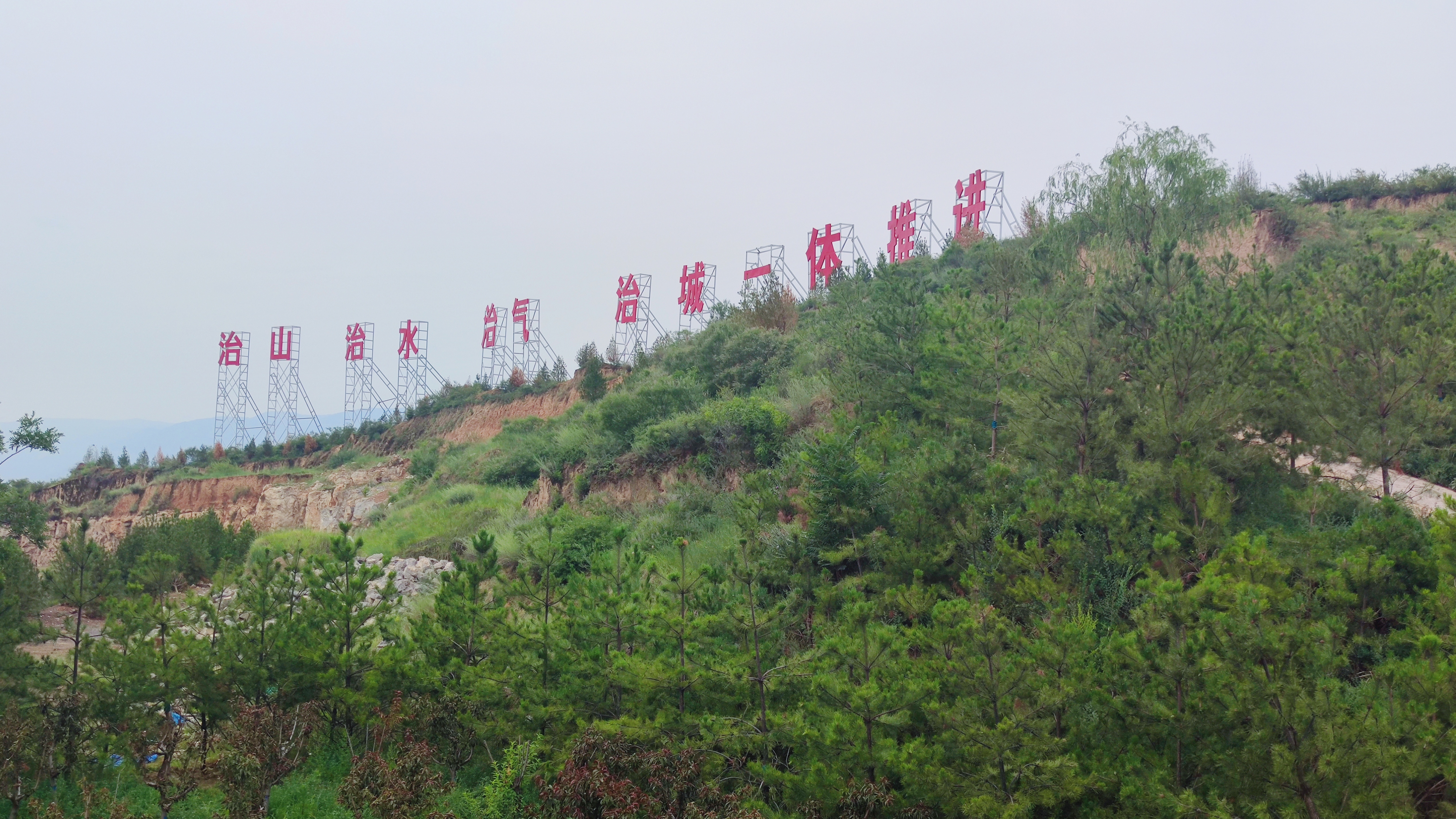 太原植树造林成果,山西人工造林工程