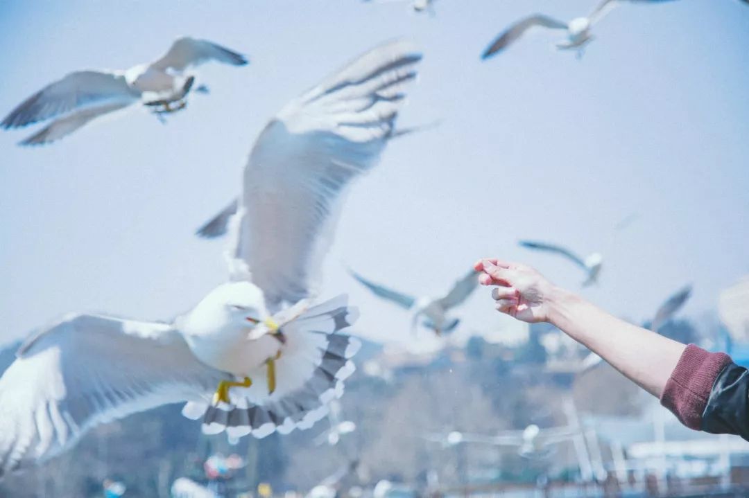 旅游三亚和厦门哪个更值得去,三亚和厦门哪一个更值得去旅游