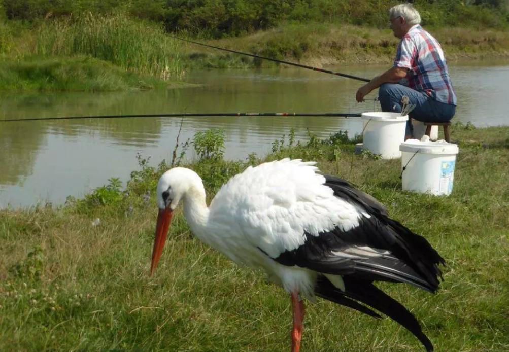 18年感人的爱情故事视频,18年感人的爱情故事