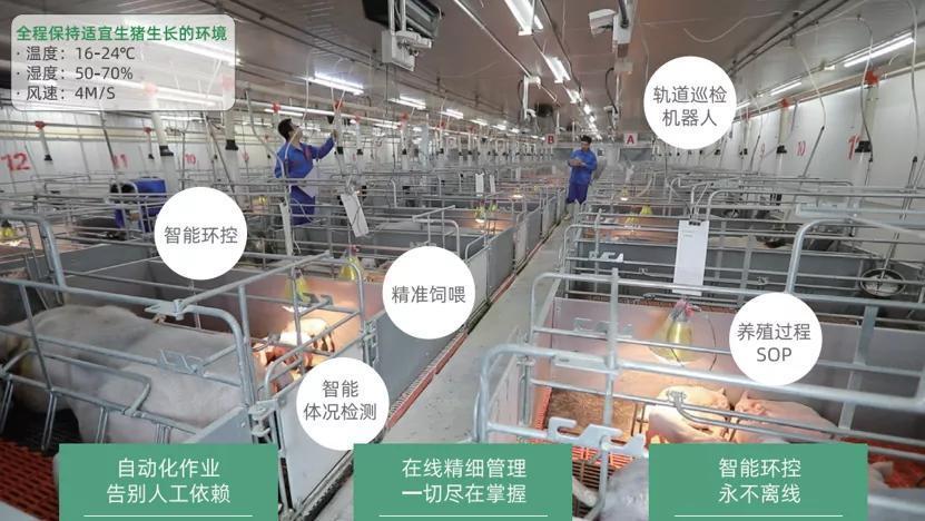 「食业领军企业访谈」刘畅：创建生态和谐的世界级农牧企业