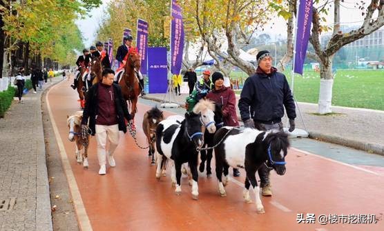 踏马滇池？百万名马乘骑等你来体验