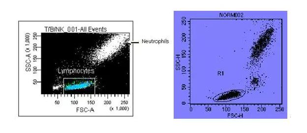 细胞实验基本操作,流式细胞实验操作视频