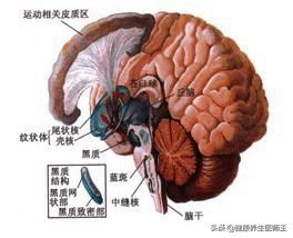 生命健康主题的幼儿舞蹈,生命健康主题舞蹈