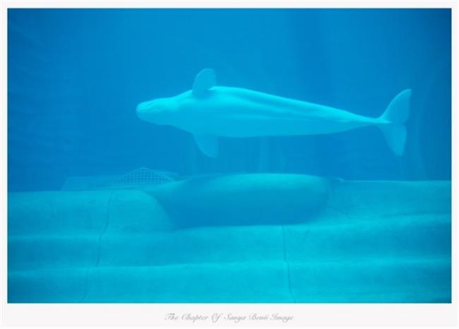 一家四口去三亚旅游既省钱又开心,带两个娃去三亚旅游