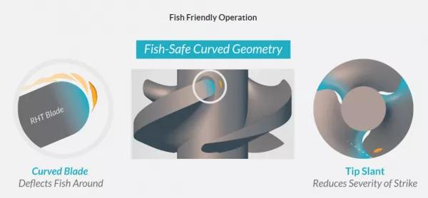 精子游动的方向是什么,精子游动过程
