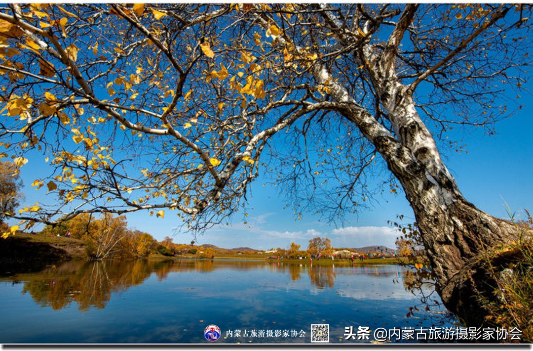 那山那水那味道,那山那水那份爱