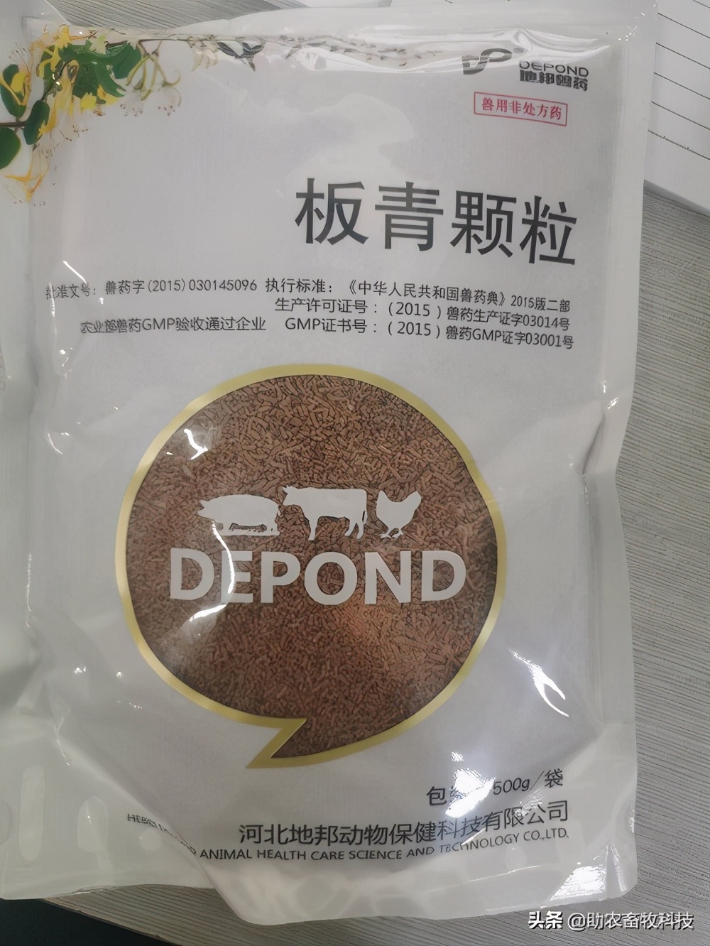 鹅肠道病的症状与治疗,快速判断鹅病的四种方法